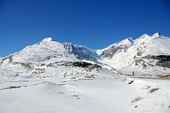 15 Snow Dome, Dome Glacier, Mount Kitchener and Mount K2 From Columbia Icefield
